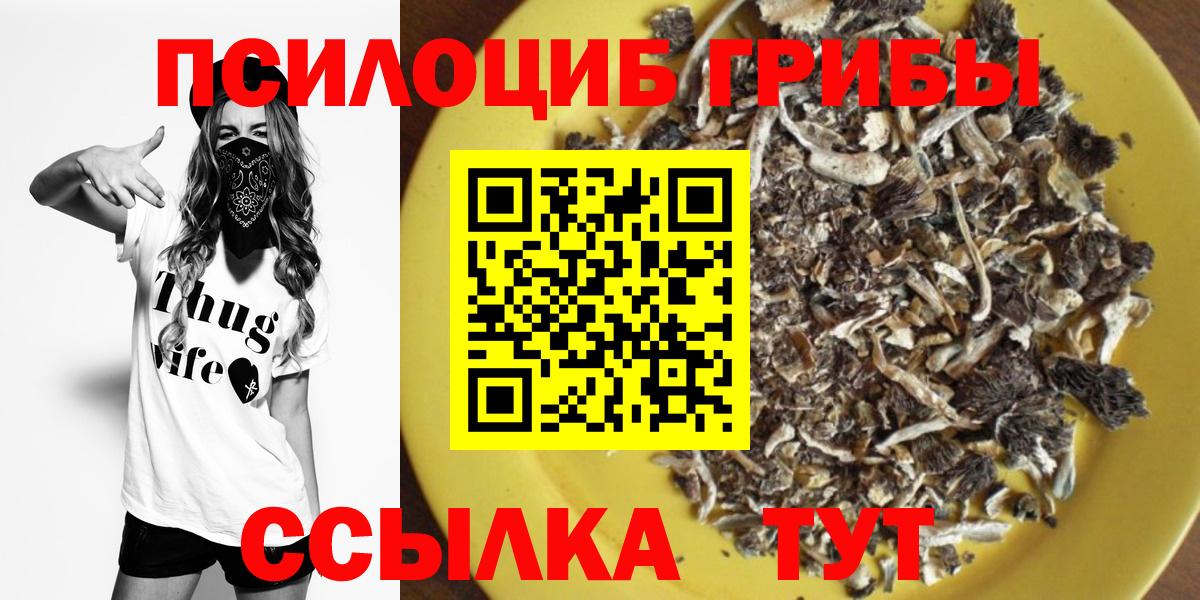 Псилоцибиновые грибы Psilocybine cubensis Ачинск